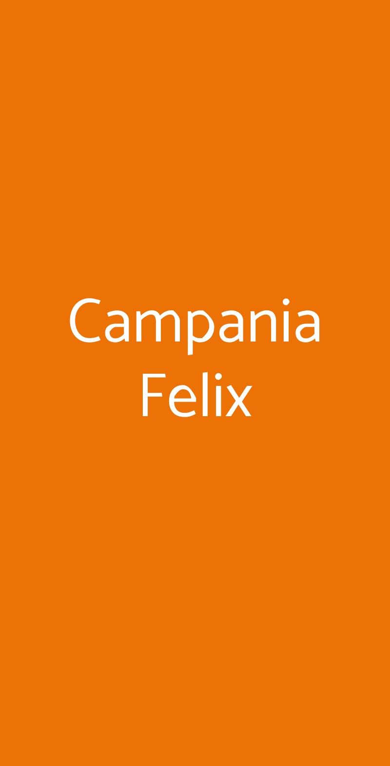 Campania Felix Salerno menù 1 pagina