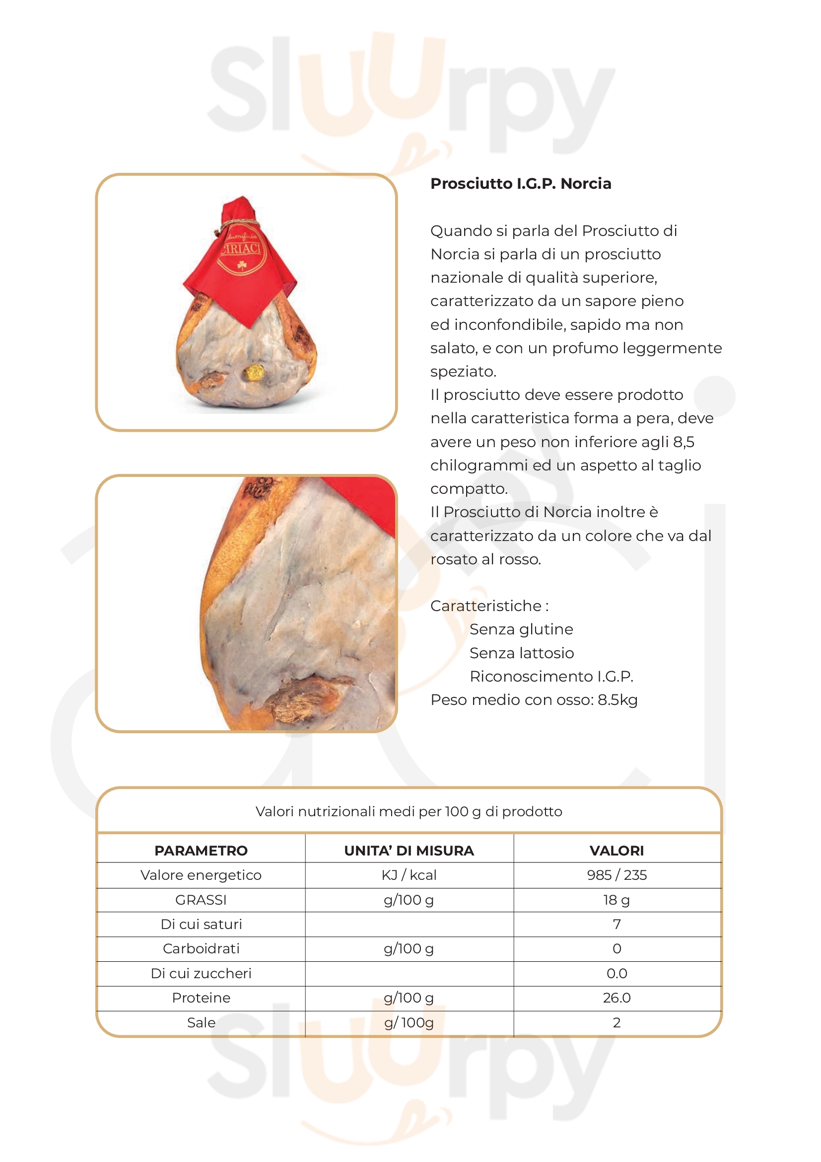 Pagina 31