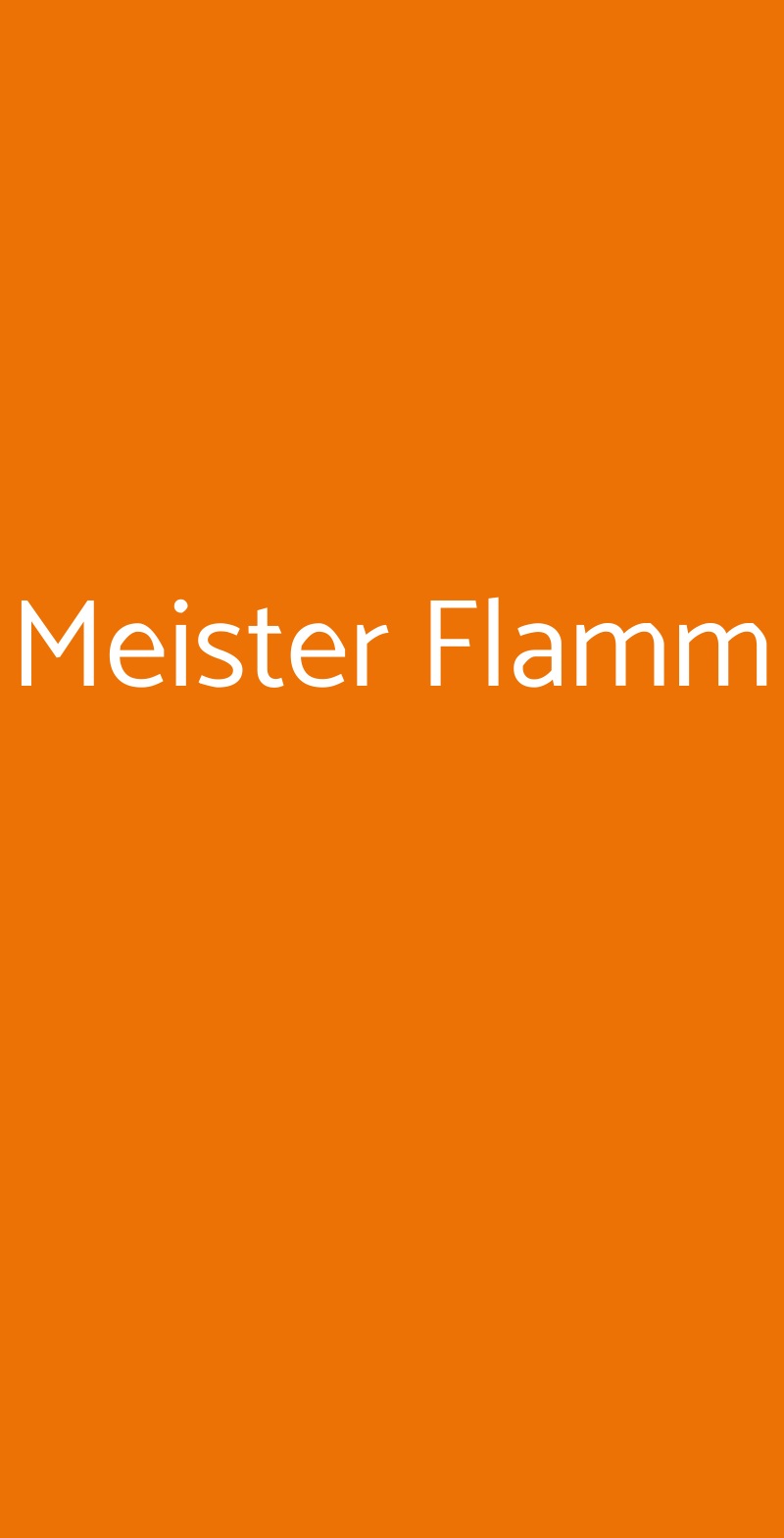 Meister Flamm Torino menù 1 pagina