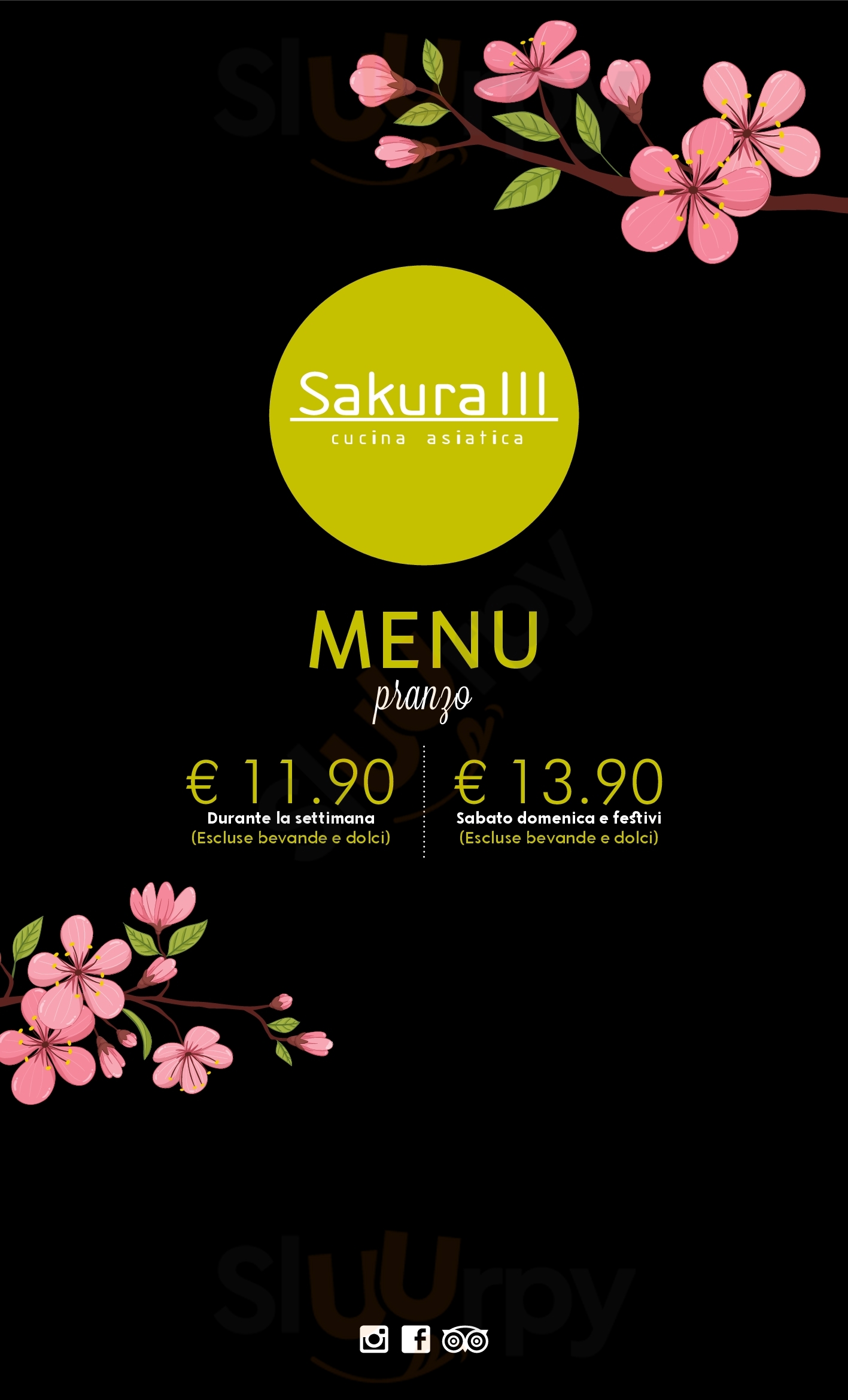 Sakura Cucina Asiatica Maranello menù 1 pagina