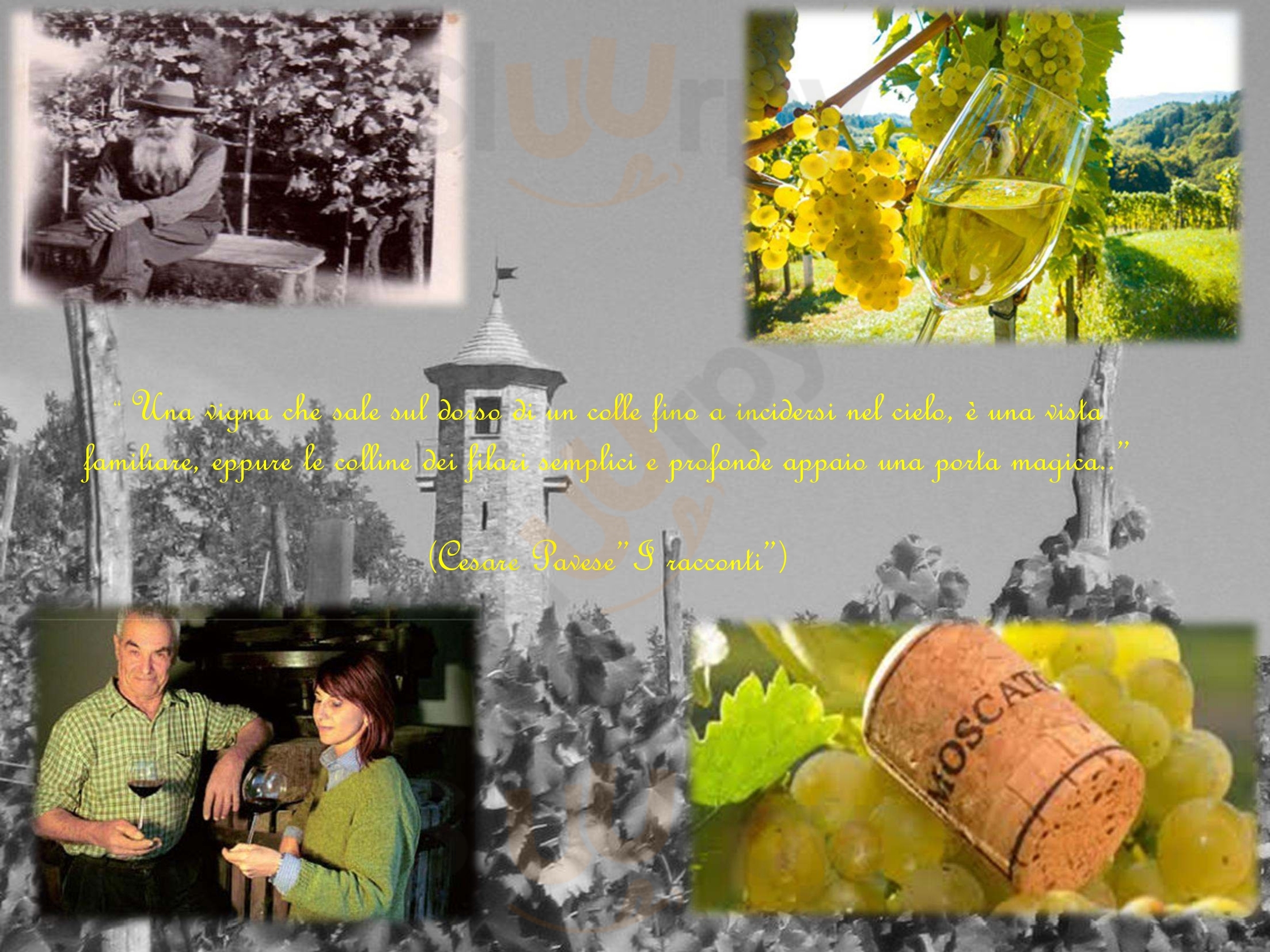 Pagina 16