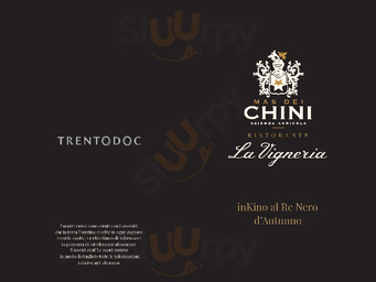 Ristorante Agriturismo Vigneria Mas Dei Chini