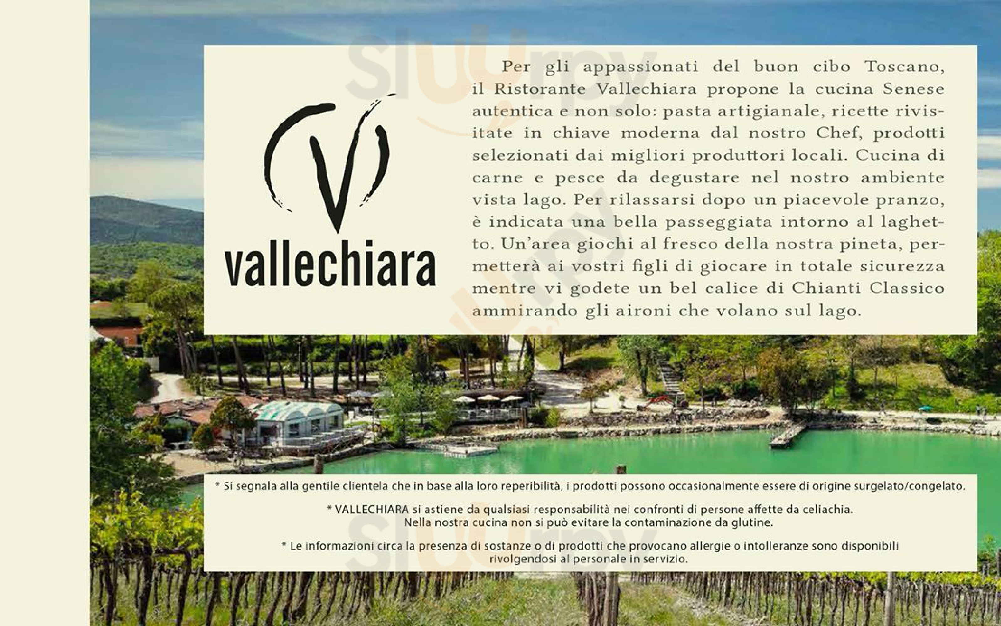 ValleChiara Castellina in Chianti menù 1 pagina