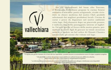 Vallechiara, Castellina in Chianti
