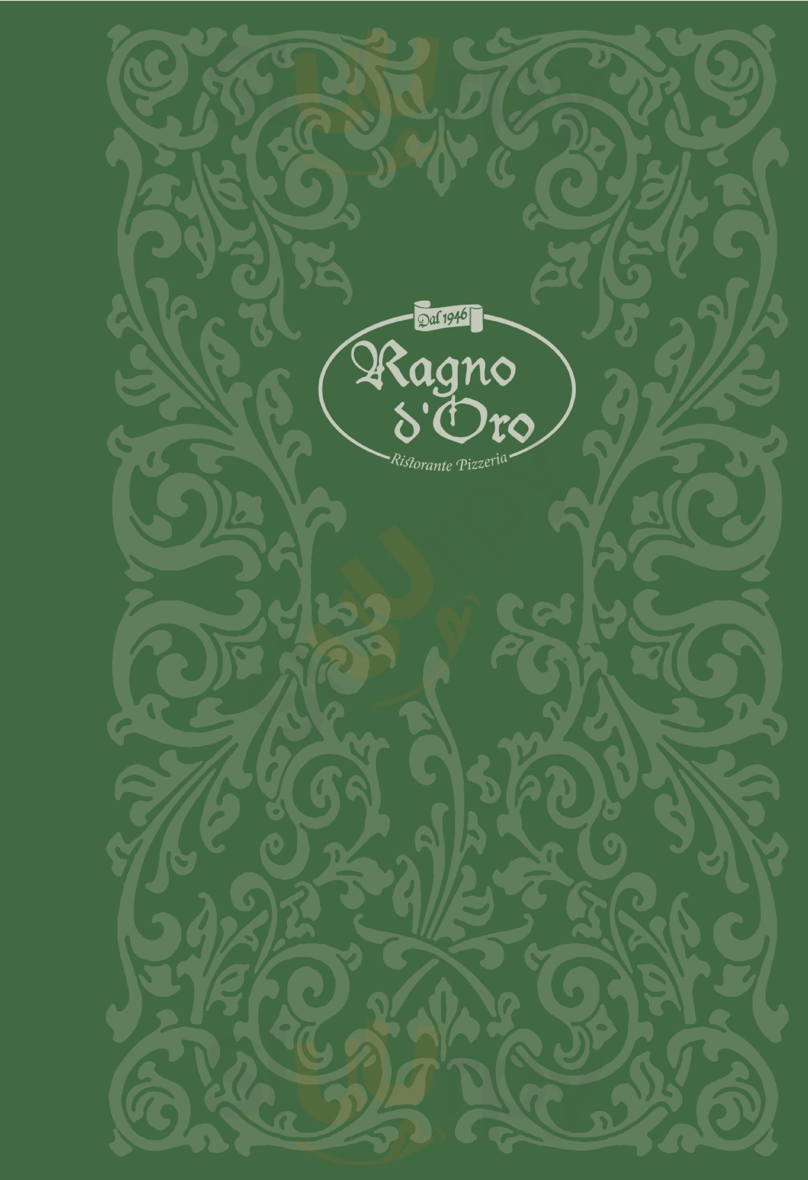 Ragno D'oro, Urbino