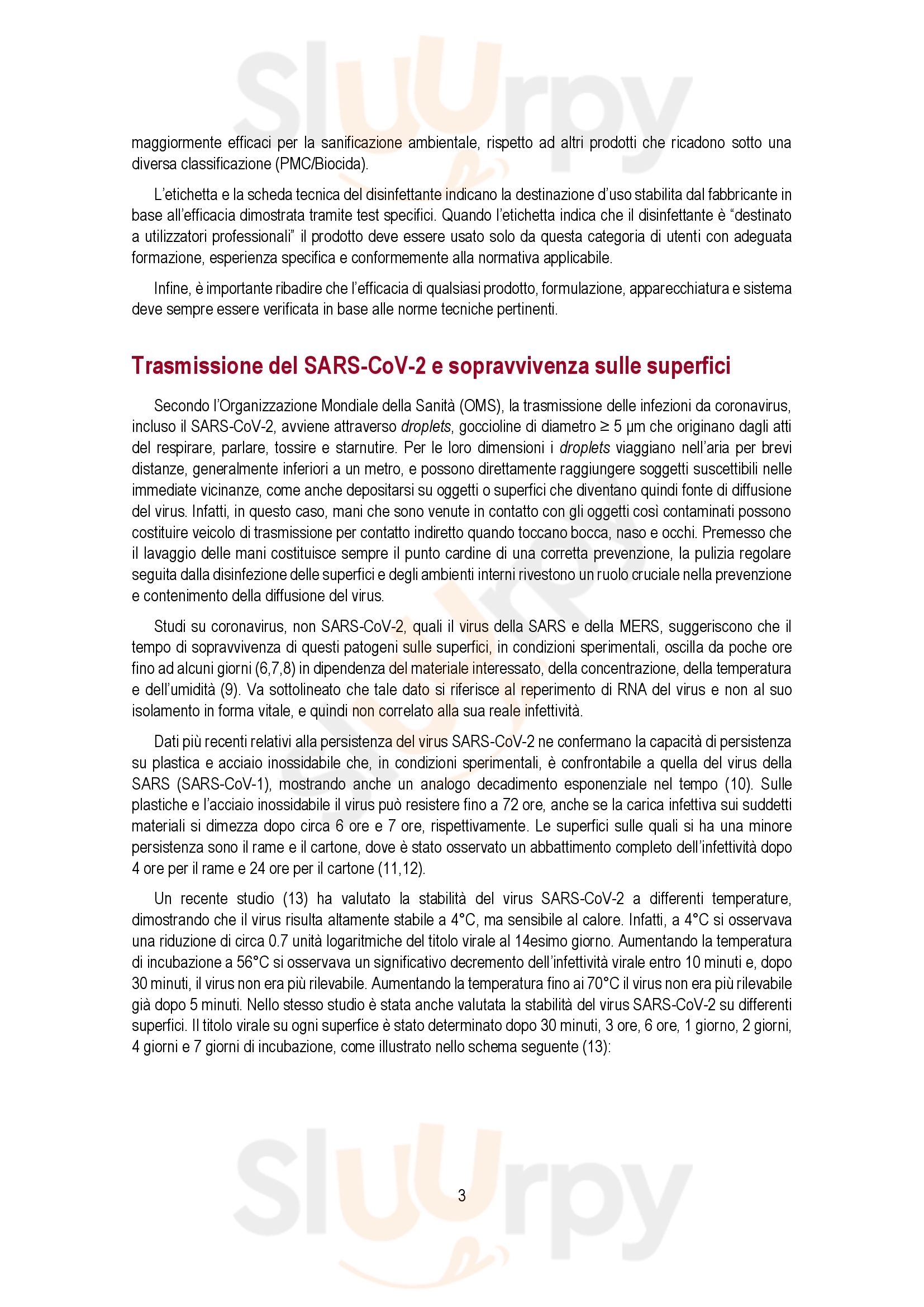 Pagina 13