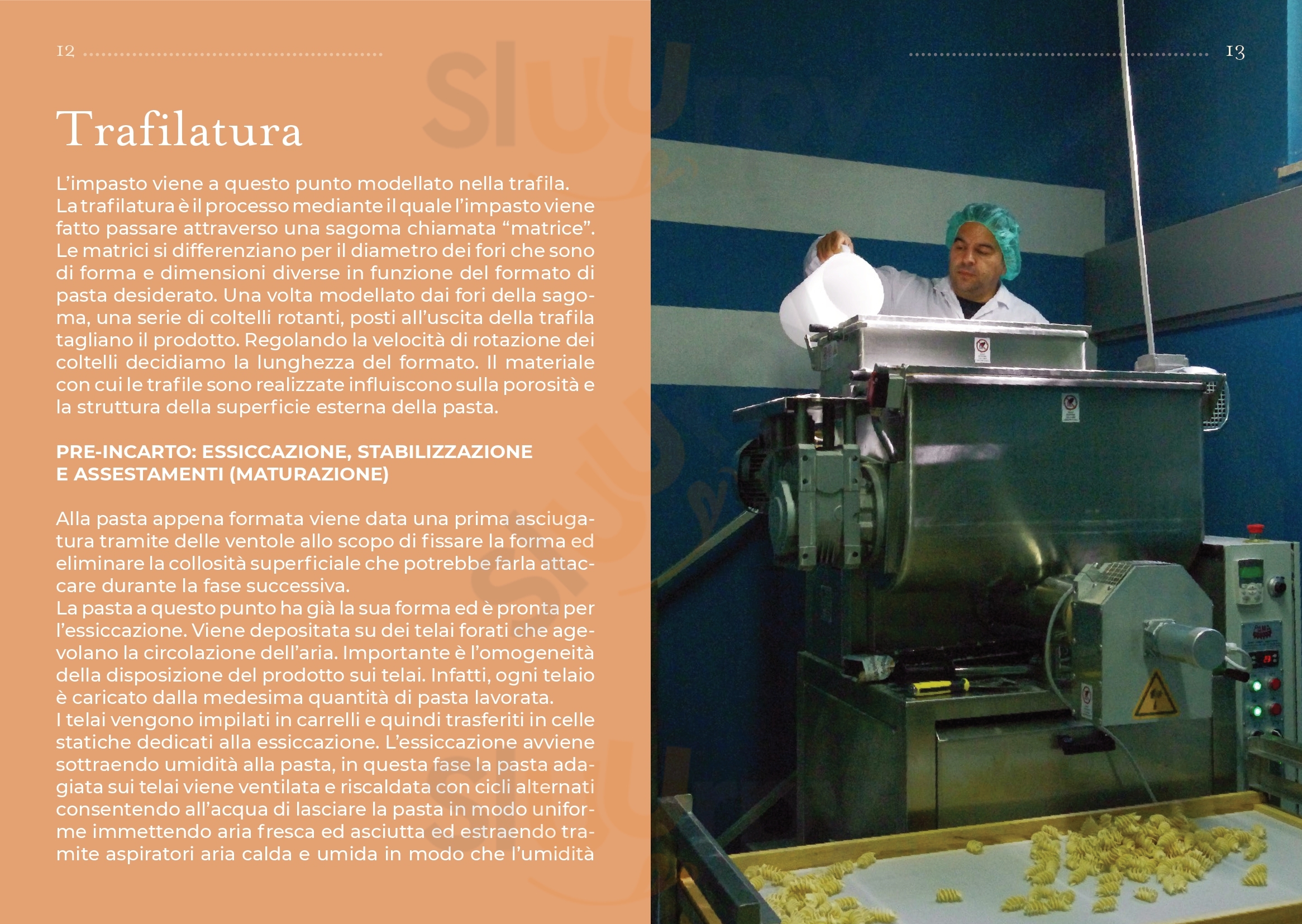 Pagina 10