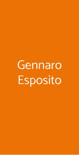 Gennaro Esposito, Torino