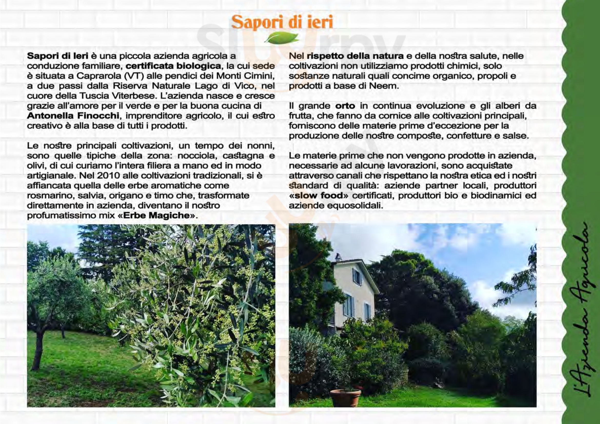 Pagina 3