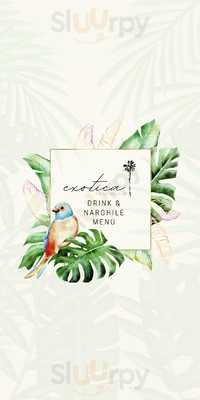 Exotica - The Lounge Club
