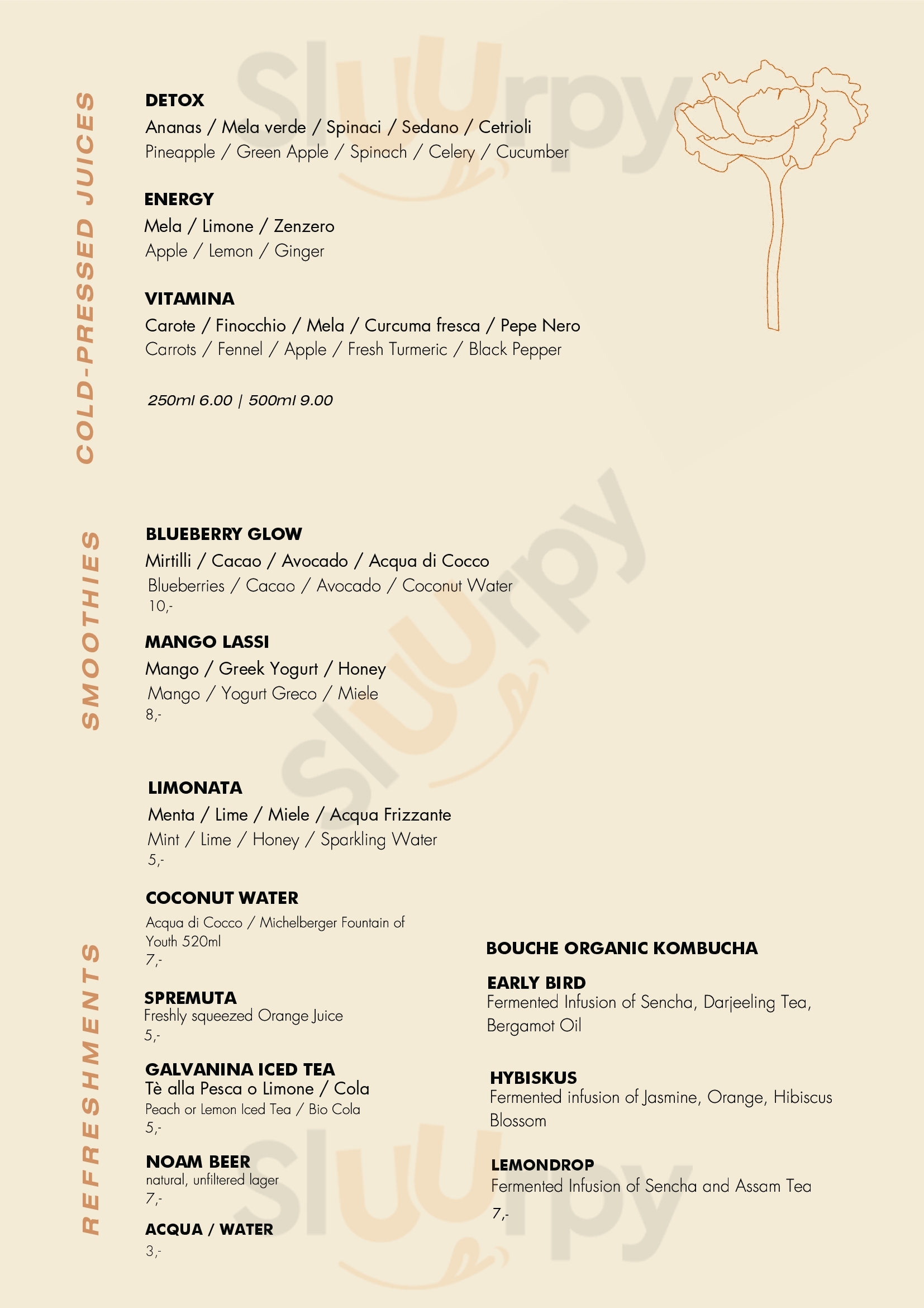 Pagina 19