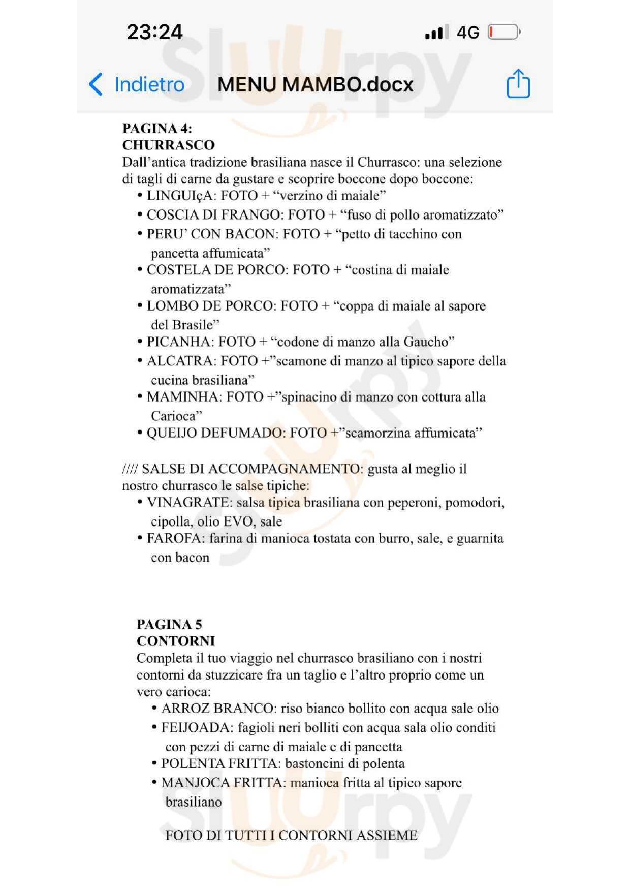 Pagina 4