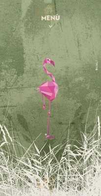 Flamingo Lignano