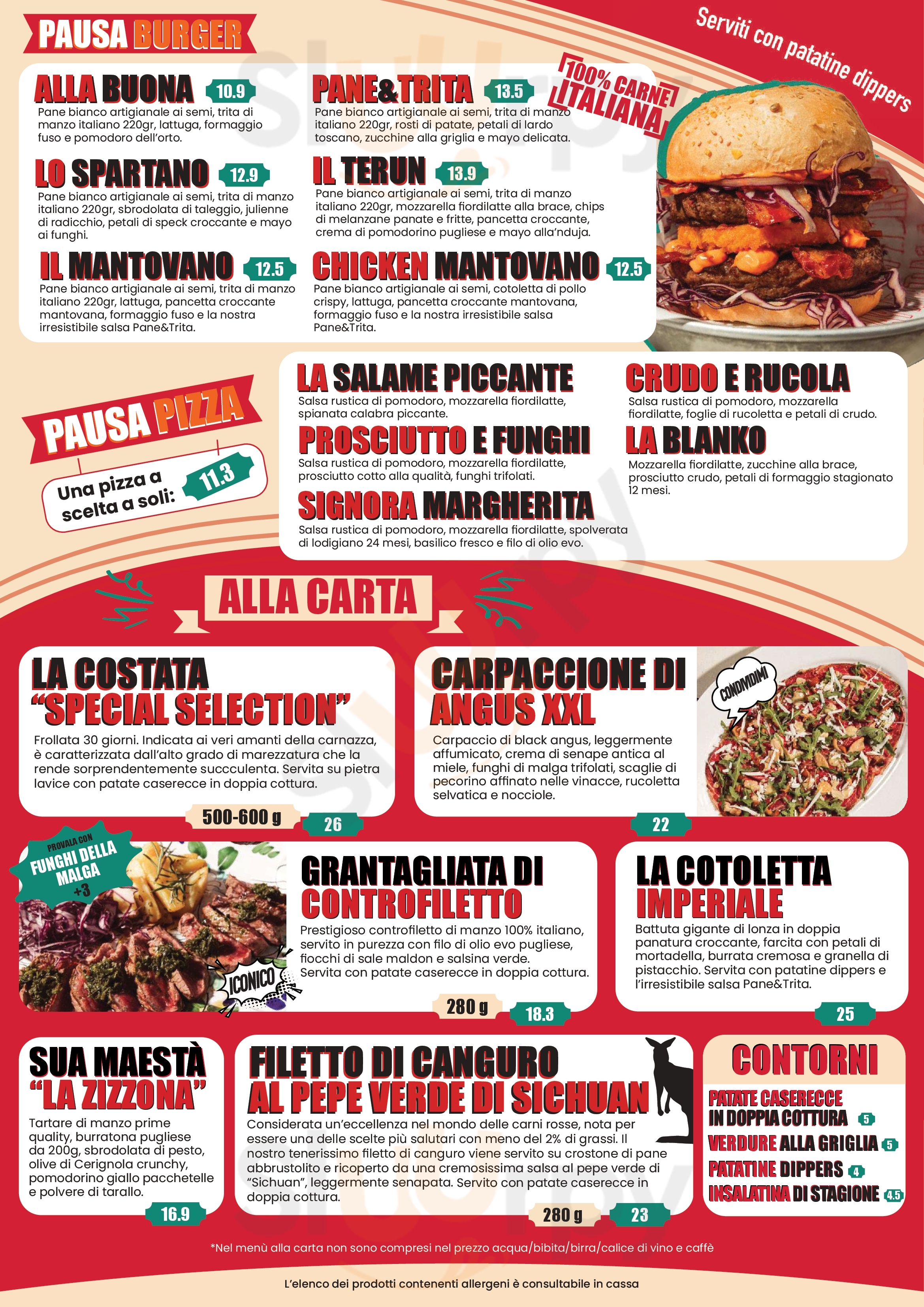 Pagina 3