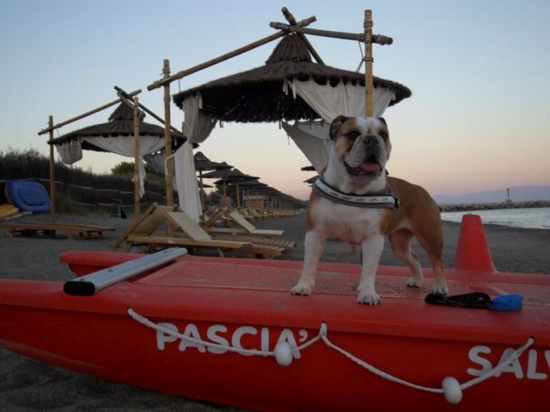 Pascià Glam Beach - 3