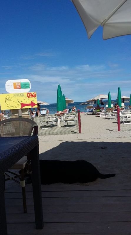 Overbeach - 3