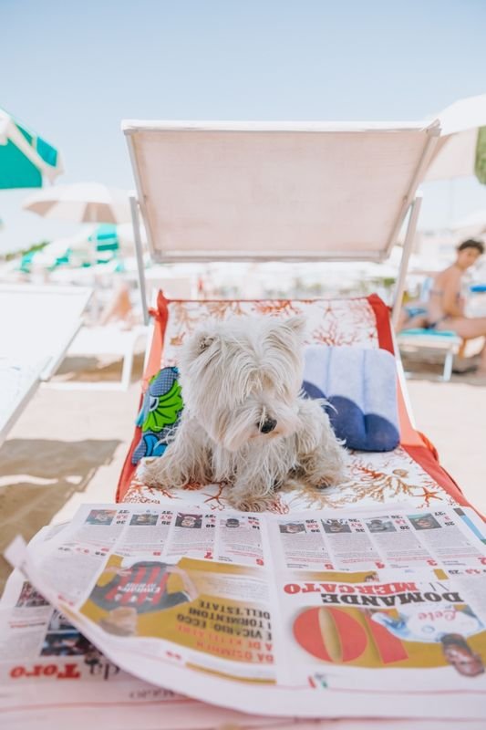 Nemo Beach & Bau Bau Beach - 2