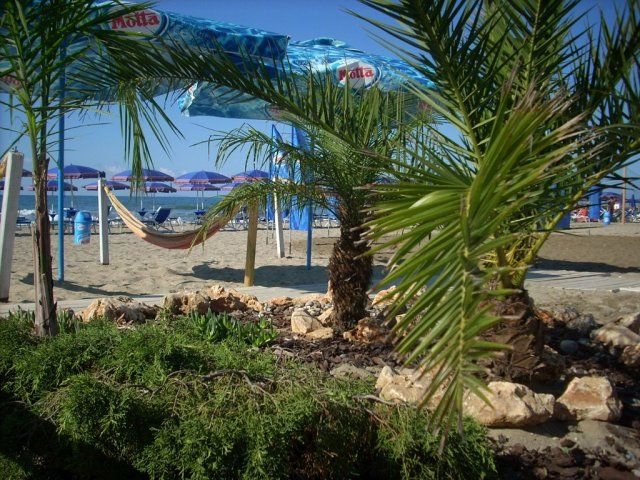Aloha Beach - 2