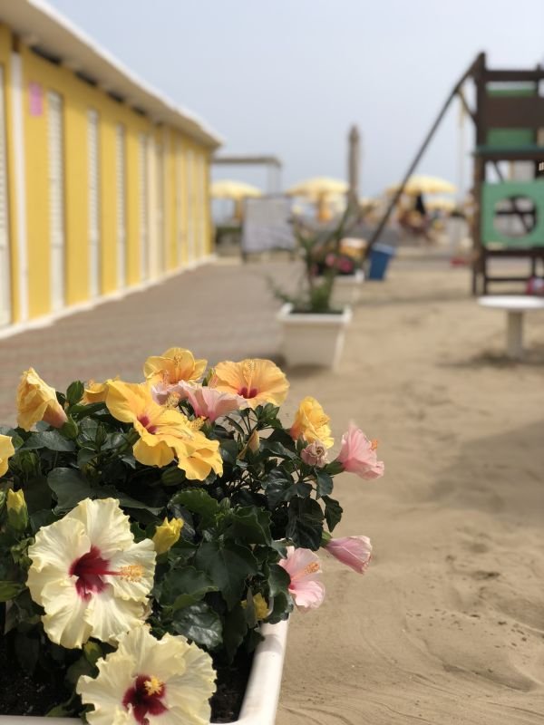 Bagno 103 Flavio - 2