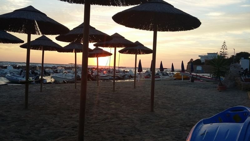 Little Paradise - 2