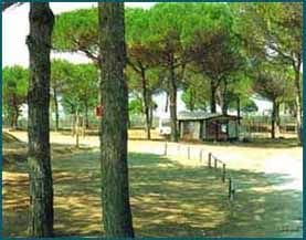 Camping Zadina
