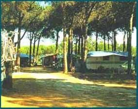 Camping Zadina - 3