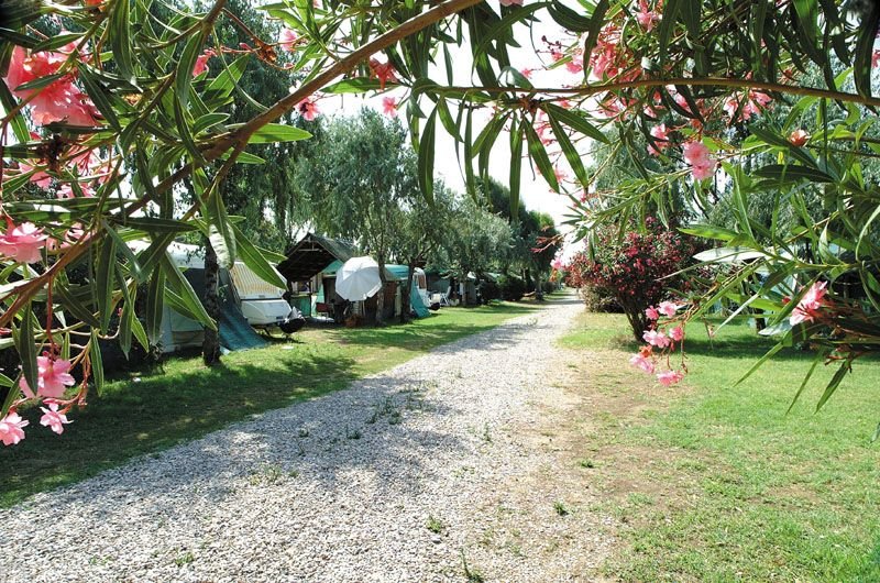 Tuscia Tirrenica Camping Village - 3