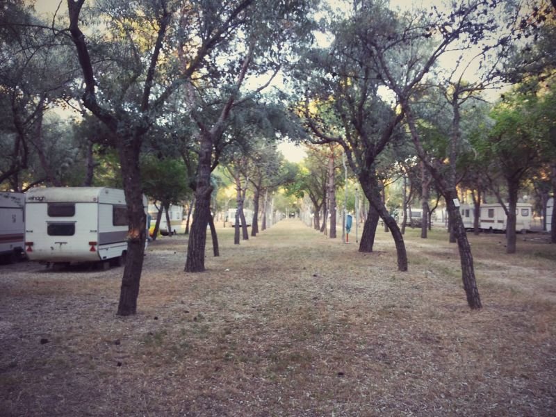 Lido Tellina Camping - 2
