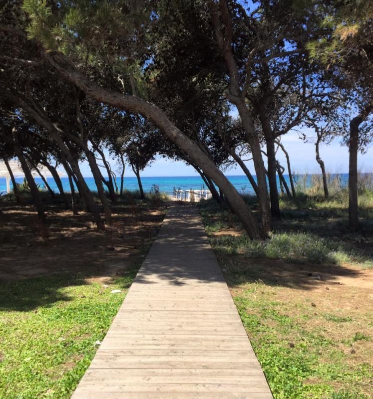 Oasi Beach