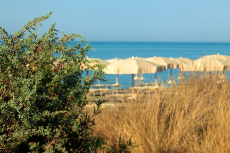 La Dogana Beach Club - 5