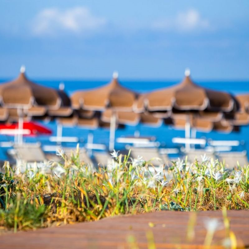 Resort Giglio Di Mare - 5