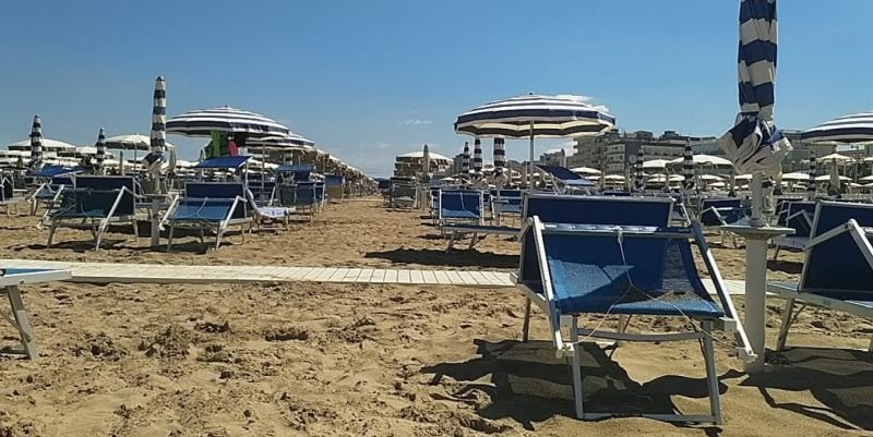 Sunflower Beach 95