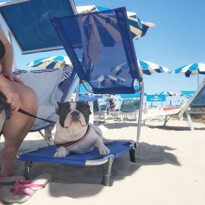 Spiaggia Saraghina 52-53 - 2