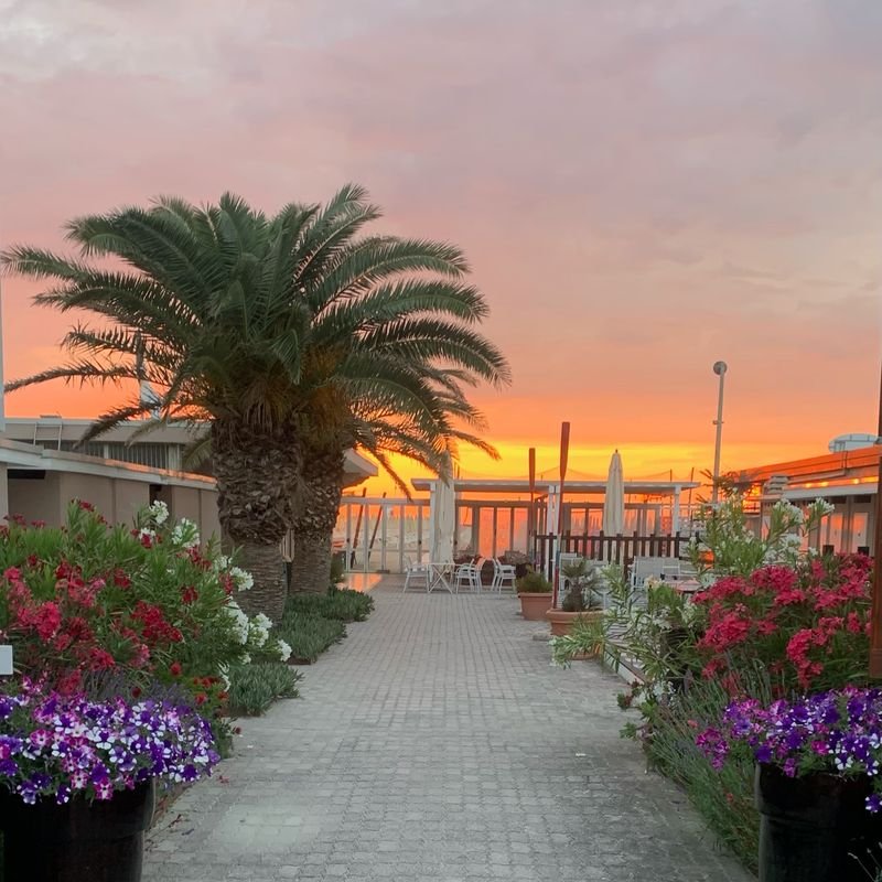Bagno Mercuriali 204 - Cervia