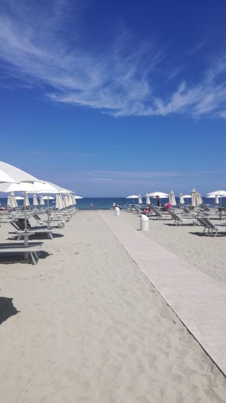 Bagno Adriatico 263 - 2
