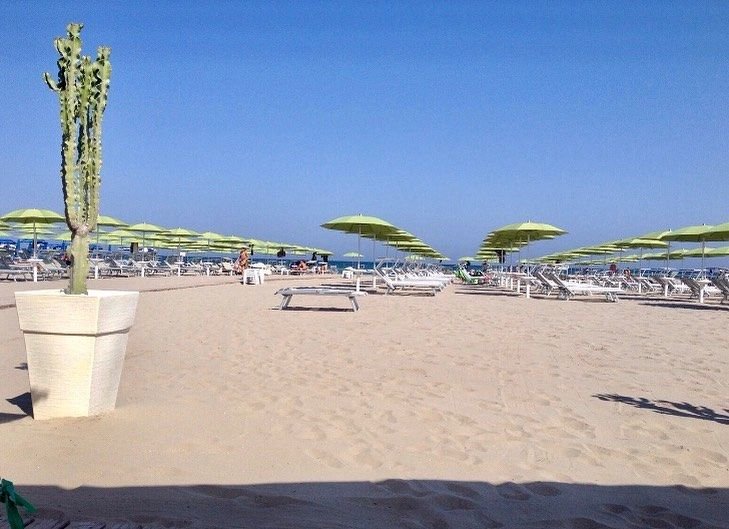 Bagno Ippocampo 278