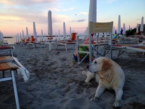 Bagno Miami - Lido Degli Scacchi