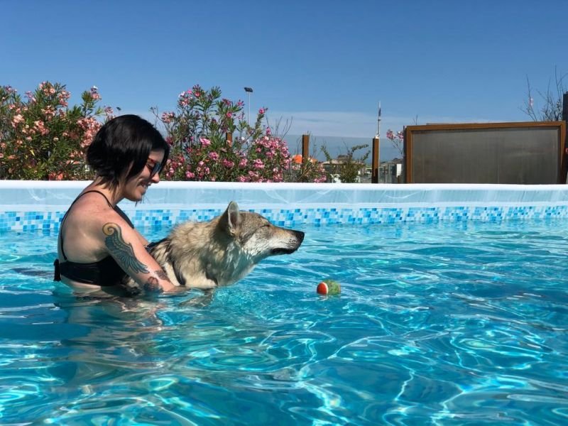 Maremoto Beach Family & Beach For My Dog - 2