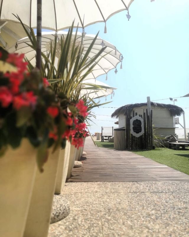 Bagno Tequila Sunrise - 3