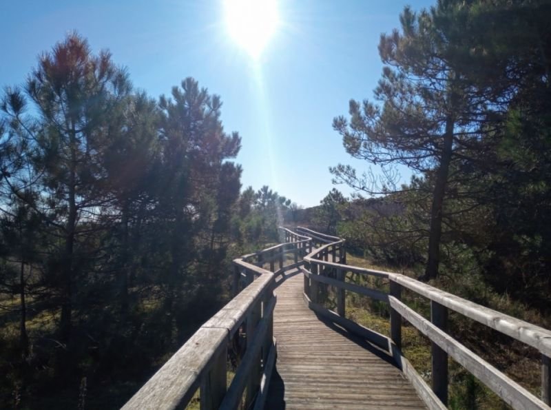 Spiaggia Libera (Ex Colonia) - 3