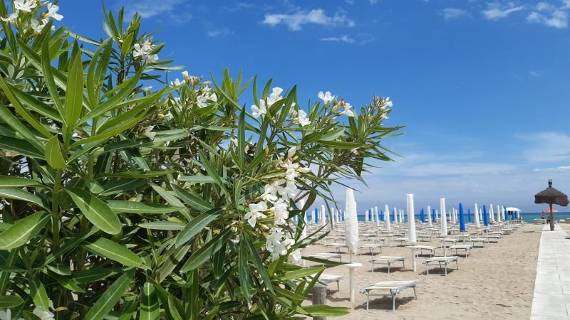 BBK Disco & Beach - 5