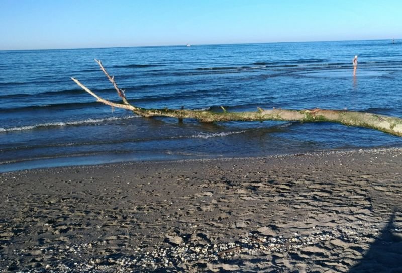 Spiaggia Libera Aperta Ai Cani - Lido Di Dante