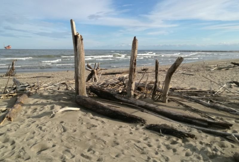 Spiaggia Libera Aperta Ai Cani - 3