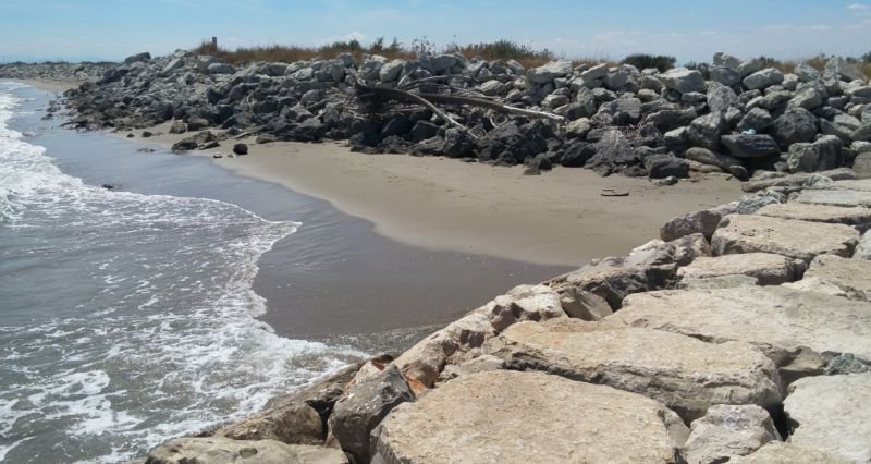 Spiaggia Libera Aperta Ai Cani - 4