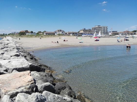 Spiaggia Libera Per Cani - Dog Beach - Lido di Classe
