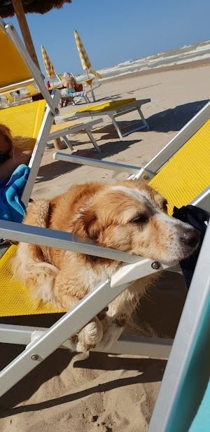 Lido Lino - 2