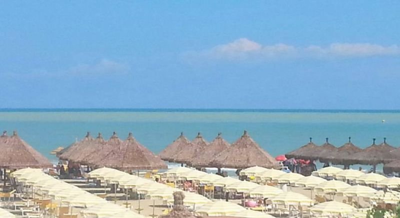Le Canarie - 1