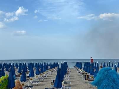 Cavallino Azzurro - 2
