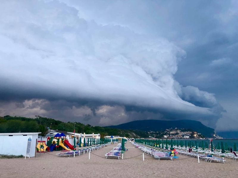 Les Parasols - 2