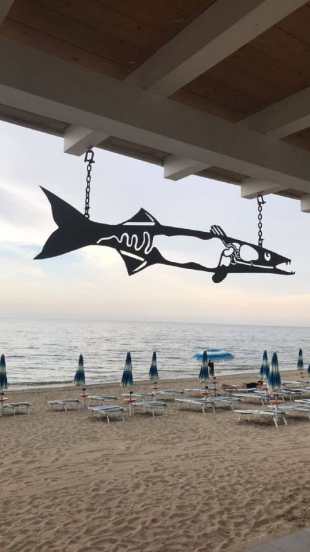 Barracuda Summer Fun Beach - 2